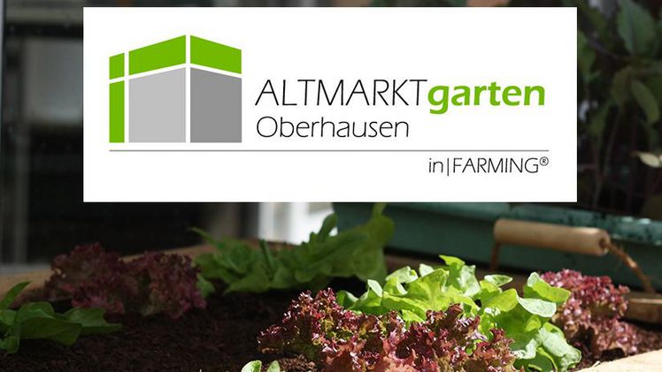Mit dem Altmarktgarten in Oberhausen entsteht nun ein erstes Zentrum zur nachhaltigen regionalen Lebensmittelversorgung. © Foto Fraunhofer UMSICHT.