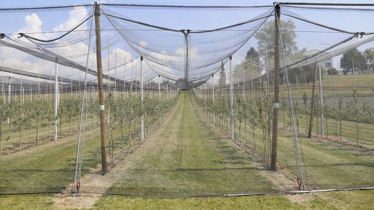 Die Gesellschaft entscheidet mit, was auf dem Feld passiert. Bild: lid.