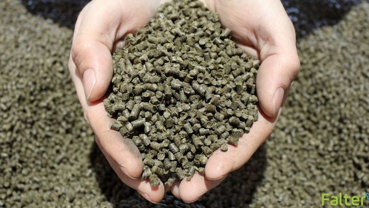 Schafwolldünger-Granulat: Optimiert für den Einsatz mit Düngerstreuern und Abfüllanlagen. Bild: Falter Naturprodukte.