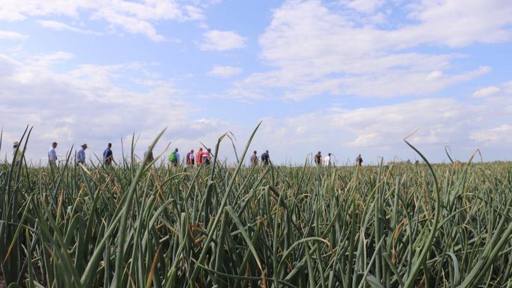 Das Zwiebelforum vom 16.-17.01.2020 in St. Martin statt. Bild: Tim Jacobsen. 
