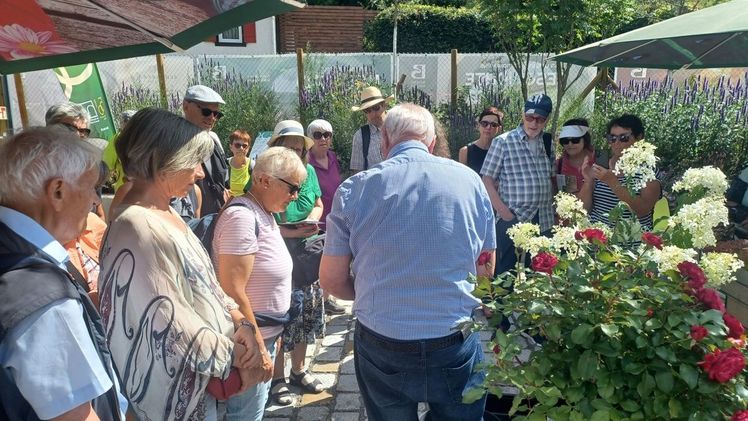 Beispiele zur Kübel- und Balkonpflanzung mit Fritz Fahr von Fahr GmbH. Bild: VGL-BW.