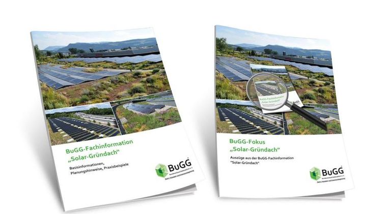 Beide Arbeitshilfen auf einen Blick: BuGG-Fachinformation und BuGG-Fokus„Solar-Gründach“. Bild: BuGG.