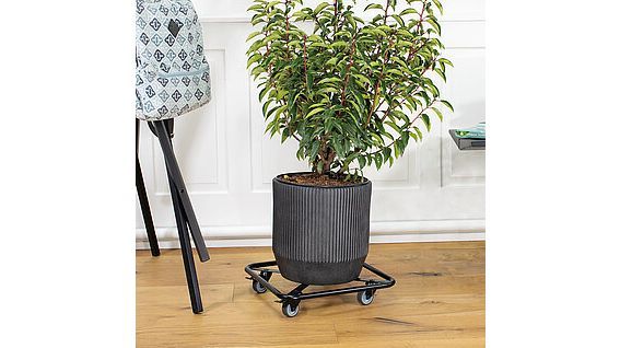 Dank ihrer hohen Tragkraft machen die  schicken Pflanzenroller alle gängigen mittelgroßen und großen Pflanzgefäße leicht beweglich. Bild: Wagner System GmbH.