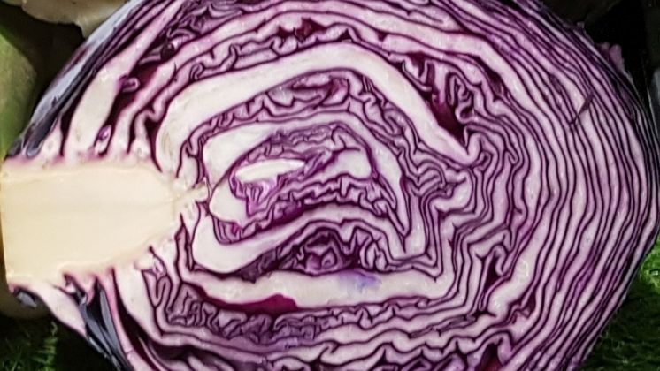 Für das Rückstandmonitoring wertet die QS Fachgesellschaft Obst, Gemüse, -Kartoffeln GmbH (QS) insgesamt 17.047 Proben aus 41 Herkunftsländern. Bild: GABOT.