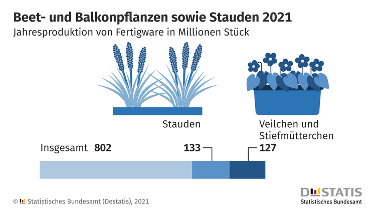 Bei den Freilandpflanzen haben 2.200 Gartenbaubetriebe im Jahr 2021 insgesamt knapp 802 Mio. Beet- und Balkonpflanzen sowie Stauden als verkaufsfertige Pflanzen (Fertigware) erzeugt. Bild: Destatis.