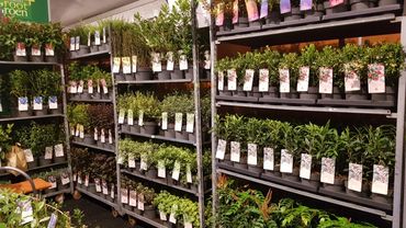 Impressionen von der GrootGroenPlus 2024. Bild: GABOT.