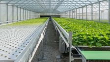 Das Automated Gutter System (AGS). Bild: LUBING GREENTEC.