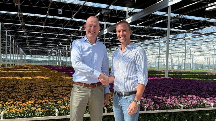 David van Mechelen (links) nimmt die Glückwünsche von Evert van Helvoort entgegen. Bild: Royal FloraHolland.