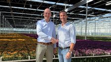 David van Mechelen (links) nimmt die Glückwünsche von Evert van Helvoort entgegen. Bild: Royal FloraHolland.
