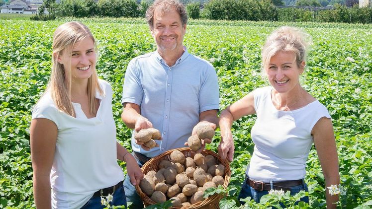 Bei Familie Wopfner aus Thaur beginnt die jährliche Kartoffel-Ernte ab Mitte Juni. Bild: SPAR.