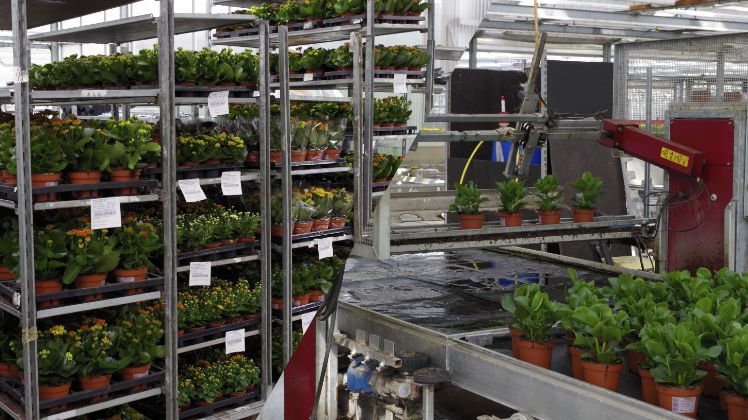 Der ZVG fordert Finanzhilfen für kleine und mittlere Unternehmen. Bild: GABOT.