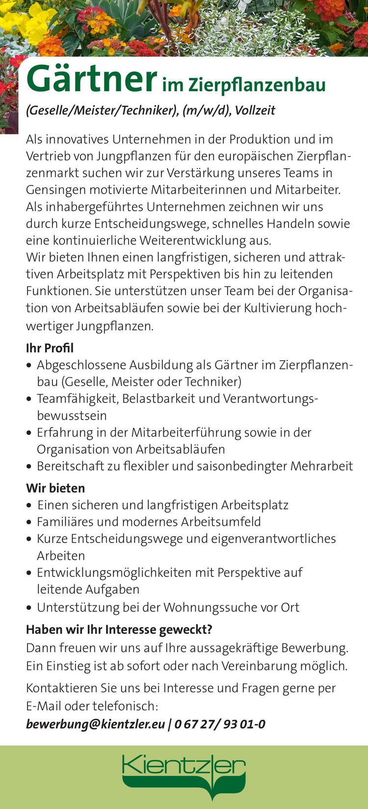Gärtner im Zierpflanzenbau (Geselle/Meister/Techniker) (m/w/d) 