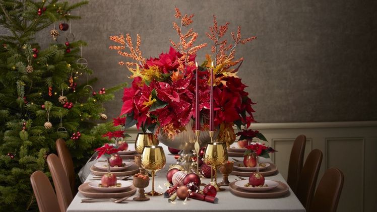 Weihnachtssterne sind ein wunderschöner Blumenschmuck für die weihnachtliche Tafel. Bild: Stars for Europa.