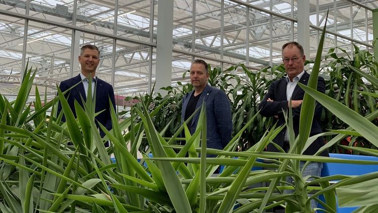 Mark Zwinkels vom World Horti Center sowie Ben van der Heide und Ronaldt Thoen, beide von Bosman Van Zaal. Bild: World Horti Center.