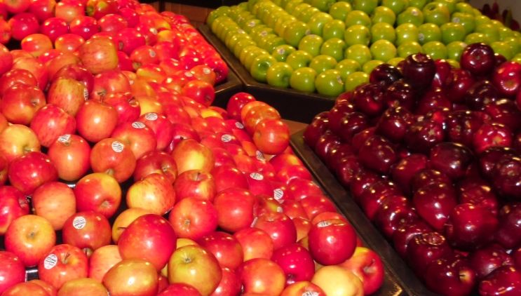 Die Fruit Attraction hat sich als wichtiger Treffpunkt für die Vermarktung internationaler Produkte und Dienstleistungen in der gesamten Wertschöpfungskette des Obst- und Gemüsesektors etabliert. Bild: GABOT.