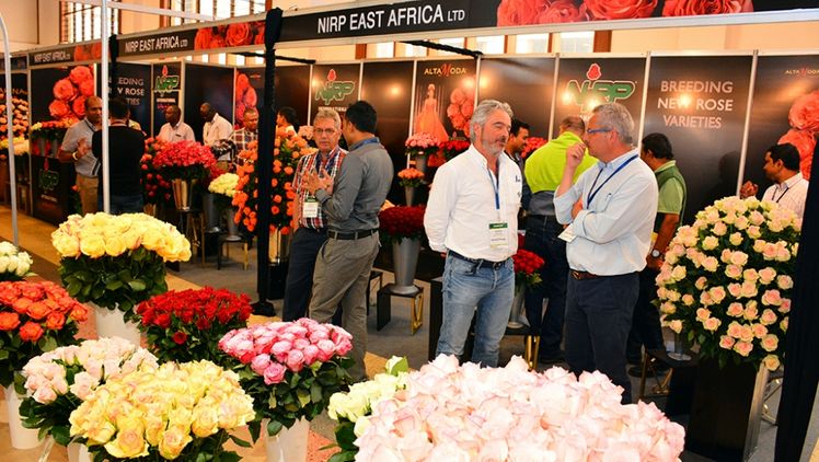 Die IFTEX 2024 eröffnet in weniger als 4 Monaten. Bild: HPP Worldwide.