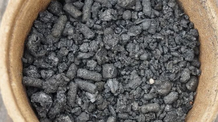 In der Entwicklung einer nachhaltigen Bioökonomie spielt Pflanzenkohle eine zentrale Rolle. Bild: GABOT.