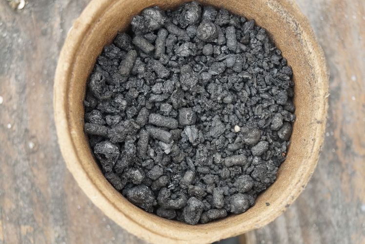 Mit Pflanzenkohle CO2 reduzieren und das Wachstum der Bäume fördern. Bild: GABOT.