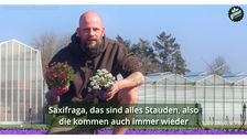 In fünf kurzen Filmsequenzen nimmt der „1000 gute Gründe“-Gärtner Tristan die Zuschauer*innen mit hinter die Kulissen des Gartenbaus. Bild: Landgard.