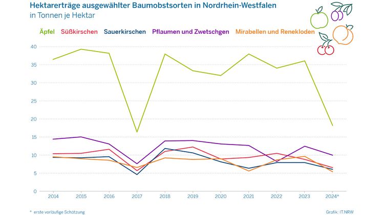 Hektarerträge ausgewählter Baumobstsorten in Nordrhein-Westfalen. Grafik: ©IT.NRW.