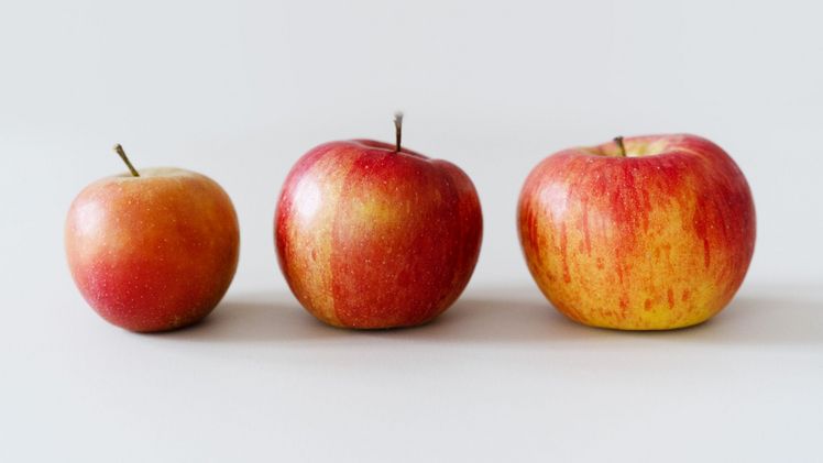 Am "Tag des Deutschen Apfels" verteilt die BVEO Äpfel. Bild: BVEO, Jessica Diesing.