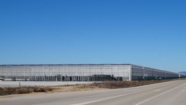 Der Gewächshauskomplex in Garray verfügt über eine Anbaufläche von 14 Hektar. Bild: GABOT.