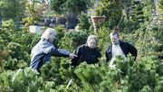 Baumschulen und Gartencenter dürfen fast flächendeckend wieder öffnen. Bild: BdB.