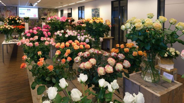 Das „Sehen, Riechen, Fühlen“ des Produkts bietet für viele Einzelhändler ganz offenbar einen wichtigen Mehrwert. Bild: VVB Van Bree.