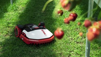 KRESS MEGA in der Erdbeerplantage. Bild: Kress.