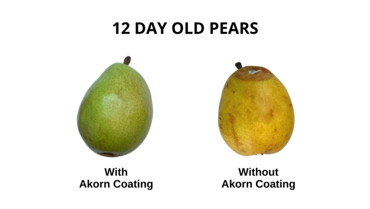 Akorn verwendet nicht gentechnisch veränderte Mais-Nebenprodukte aus Upcycling, um essbare Beschichtungen herzustellen, die die Haltbarkeit von frischen Produkten verdoppeln bis verdreifachen und langlebige und sichere Produktoptionen liefern. Bild: Akorn.