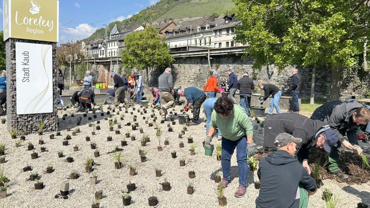 Teilnehmende beim praktischen Teil des Pflanzworkshops. Foto: BUGA29/Neumann.