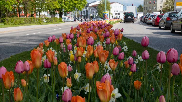 Kit 'Spielzeugstadt Sonneberg'© in 5 verschiedenen Städten in Frankreich, Schweden und Deutschland. Wegen der ausgeprägten Kontraste in Höhen und Farben sehr beliebt in ganz Europa.