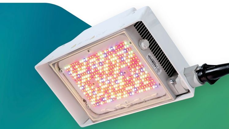 Die neue Full-LED-Wachstumslampe. Bild:  Climalux.