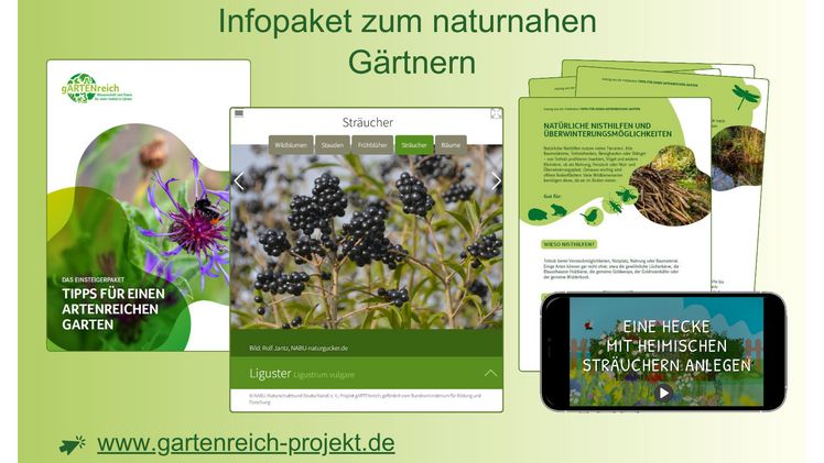 Mehr Natur im eigenen Garten. Grafik: gARTENreich 2024