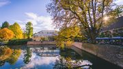Die Schlossgärten Arcen, nur zehn Autominuten von Venlo entfernt, sind international als eines der vielseitigsten Garten- und Pflanzenparks Europas bekannt. Bild: Schlossgärten Arcen.