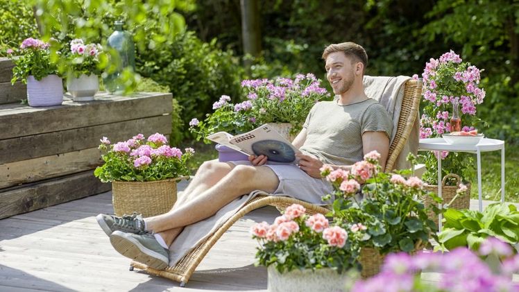 Geranien verwandeln sonnige Terrassen im Handumdrehen in blühende Wohlfühloasen. Bild: Pelargonium for Europe.