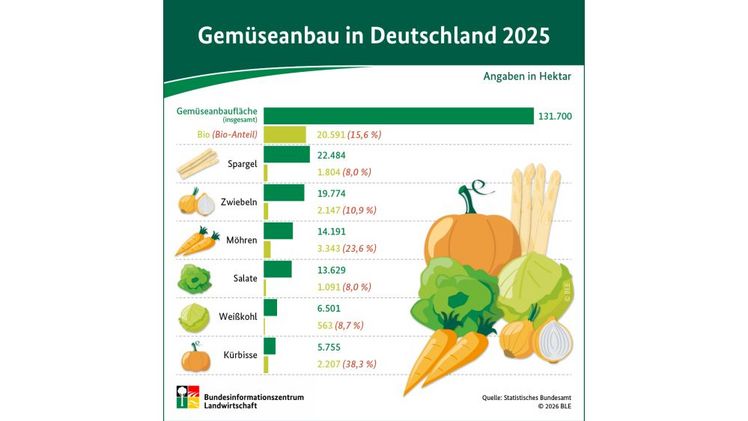 Gemüseanbau in Deutschland 2025. Grafik: © BLE.