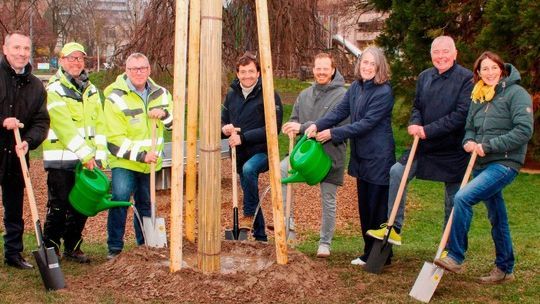 Ein Amberbaum vom VGL BW für die „alla hopp!"-Anlage in Sinsheim. Von li nach re: Oberbürgermeister Jörg Albrecht mit Steffen Gschwind und Bernd Kippenhan von der Stadt Sinsheim, Martin Joos, VGL-Vorstandsvorsitzender, Henrik Westerberg, Referent für Sport bei der Dietmar Hopp Stiftung, Heike Bauer, Stiftungsleiterin, Reiner Bierig, VGL-Geschäftsführer und Ellen Becker, Becker GmbH Zuzenhausen. Bildquelle: VGL BW. 