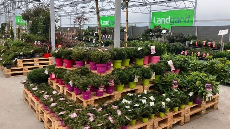 Die Winteredition der Landgard-Ordertage in Wiesmoor. Bild: Landgard. Die Winteredition der Landgard-Ordertage in Wiesmoor. Bild: Landgard.