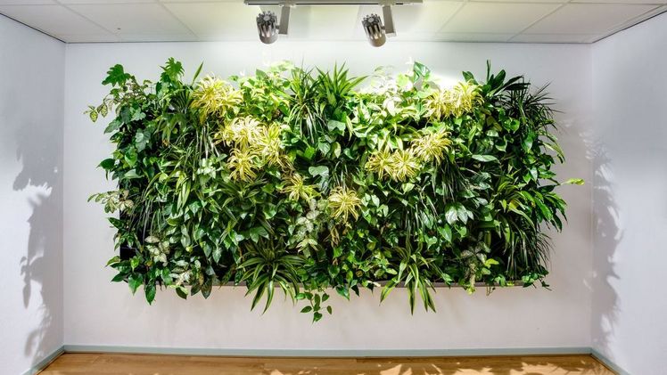Nicht größer als ein Bild – eine modulare Bauweise ermöglicht Wandbegrünungen in allen Dimensionen. Bild: GMH/FvRH.
