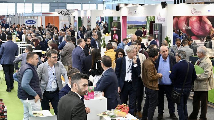 Impression von der Macfrut 2023. Bild: Macfrut.