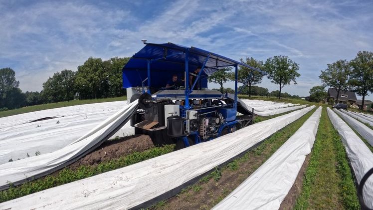 Vollautomatische Spargelstechmaschine. Bild: Lommers Tuinbouwmachines.