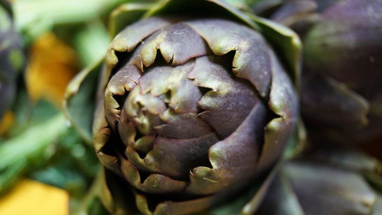 Artischockenblätter sind reich an Mineralien, Vitaminen und Antioxidantien. Bild: GABOT.