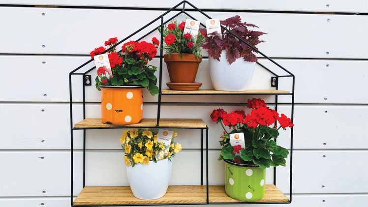 Das Pac Sortiment „Petit Petit“ findet überall ein Plätzchen. Bild: Elsner Pac. Das Pac Sortiment „Petit Petit“ findet überall ein Plätzchen. Bild: Elsner Pac.