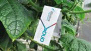 Bioline AgroSciences stellt Bugline Duo und Gemini Duo vor. Bild: Bioline AgroSciences.