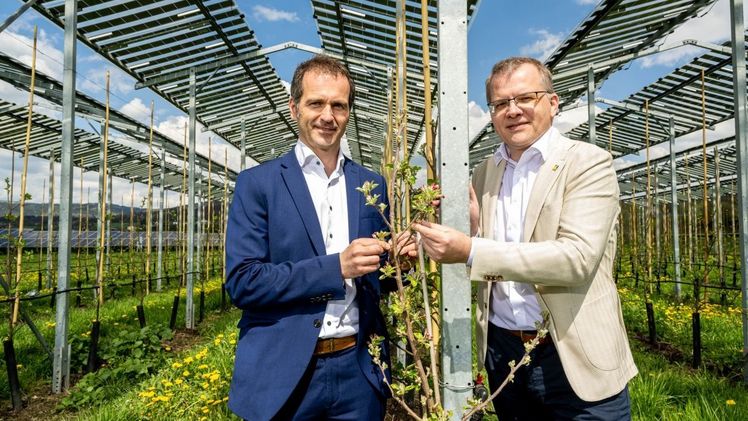 Klemens Neubauer, Geschäftsführer bei RWA Solar Solutions GmbH (li.) und Friedrich Häupl, Strategische Leitung Einkauf bei Frutura in der Agri-PV-Anlage in Pöchlarn. Bild: © Imre Antal.