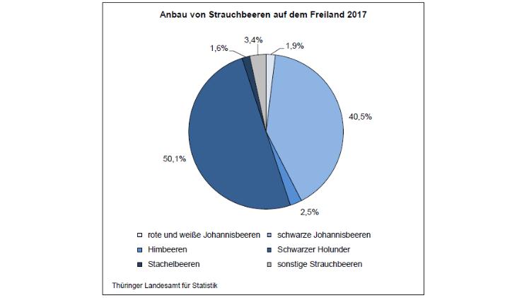 Anbau von Strauchbeeren auf dem Freiland 2017. Grafik: Thüringer Landesamt für Statistik.