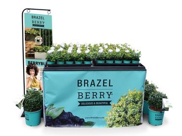 Marke und Ware perfekt ins Licht gerückt: Baumschule zu Jeddeloh Pflanzen präsentierte auf der spoga+gafa ganz besondere Verkaufsstische bestehend aus Europaletten, bedruckter Husse und passendem Metallaufsteller zu den neuen Verkaufsthemen. Bild: zu Jeddeloh.