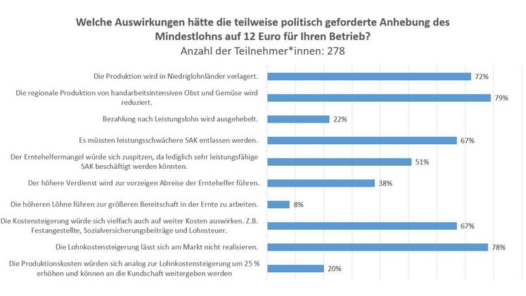 Auch die im Raum stehende Mindestlohnerhöhung auf 12 Euro brutto pro Stunde, war Inhalt der Umfrage. Bild: Netzwerk der Spargel- und Beerenverbände.
