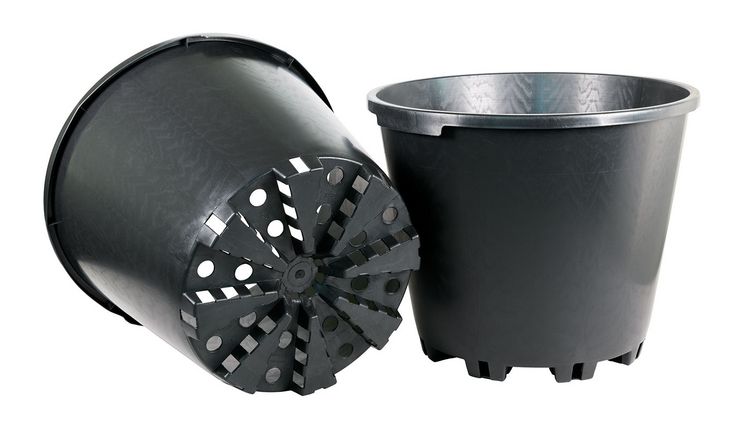 Der Blaubeertopf 35/MR - 25 Liter. Bild: BAMAPLAST.